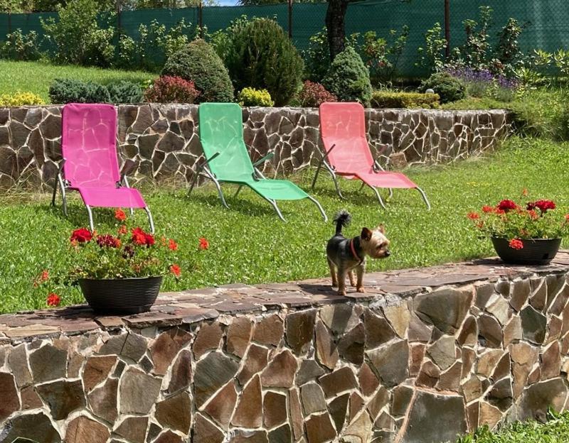 Vila Marko Nová Lesná Eksteriør bilde